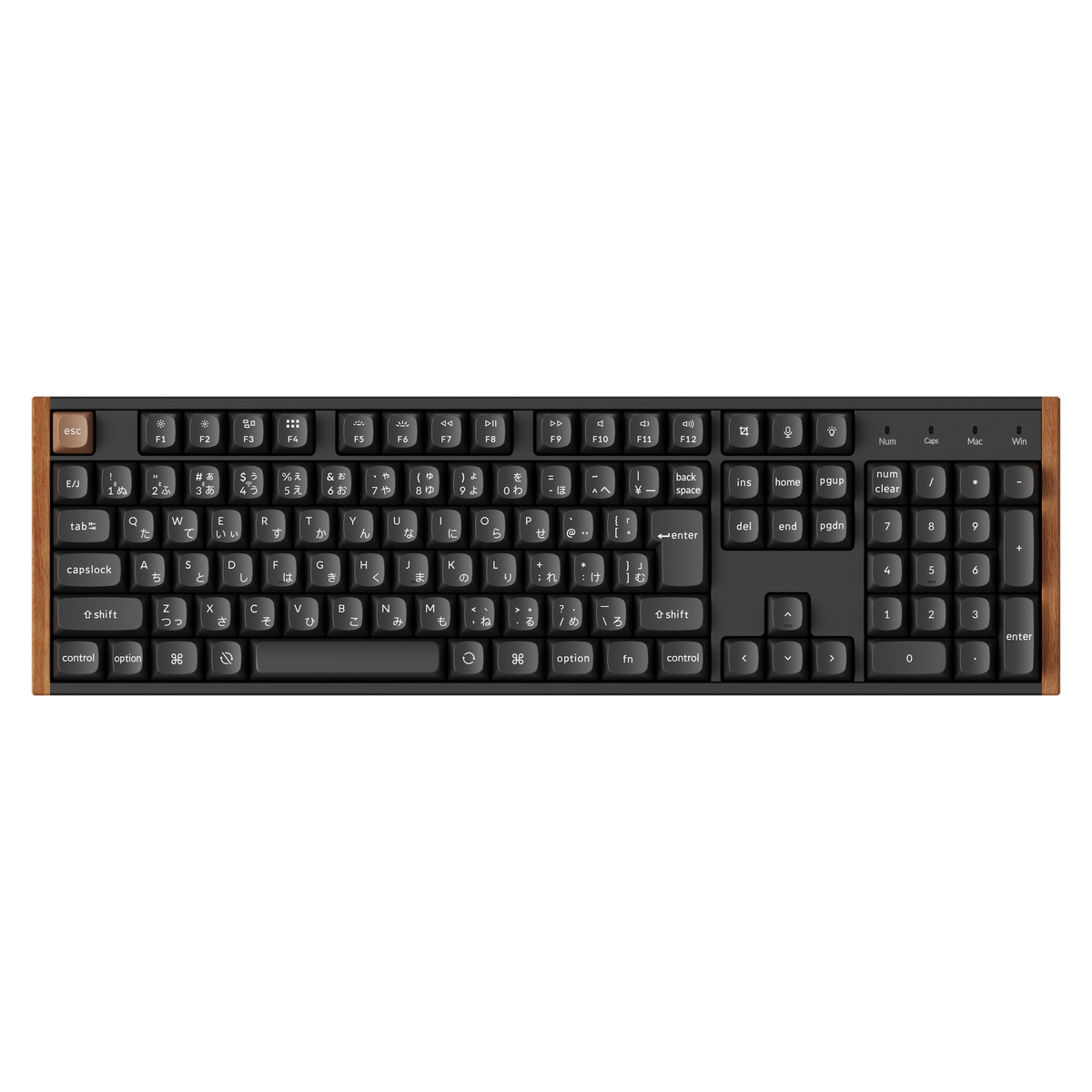 1770262975528-2-2.png?crop=