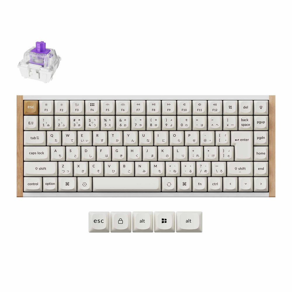 Keychron K2 HE 無線磁気スイッチ・カスタム・キーボード-JIS配列
