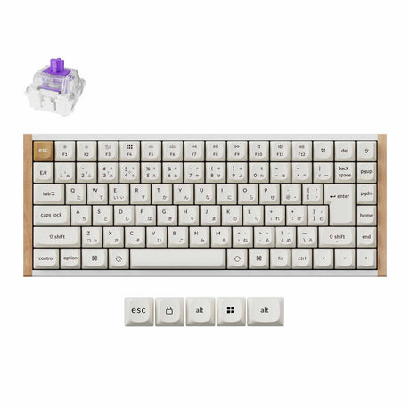 Keychron K2 HE 無線磁気スイッチ・カスタム・キーボード-JIS配列