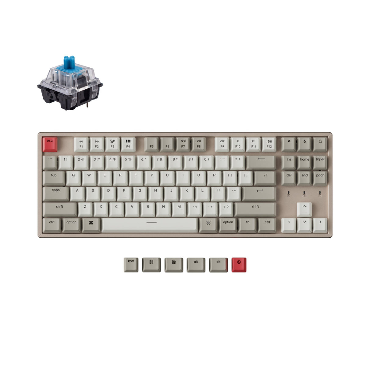 Keychron K8 tenkeyless wireless mechanical keyboard for Mac Windows iOS non backlight with keychron switch blue hot swappable