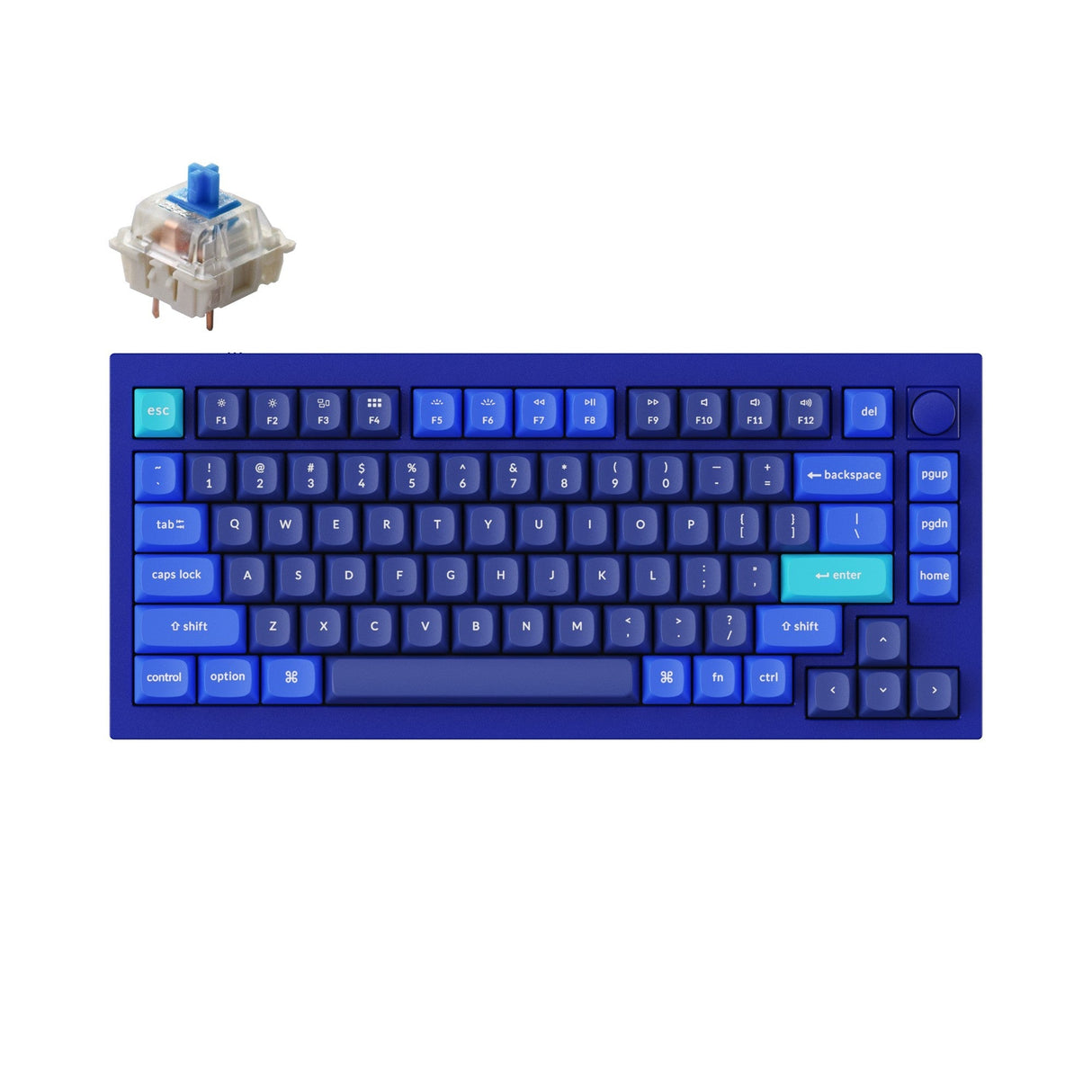 Keychron Q1 Custom Mechanical Keyboard QMK OSA PBT Keycap Knob Blue Gateron G Pro Blue Version B