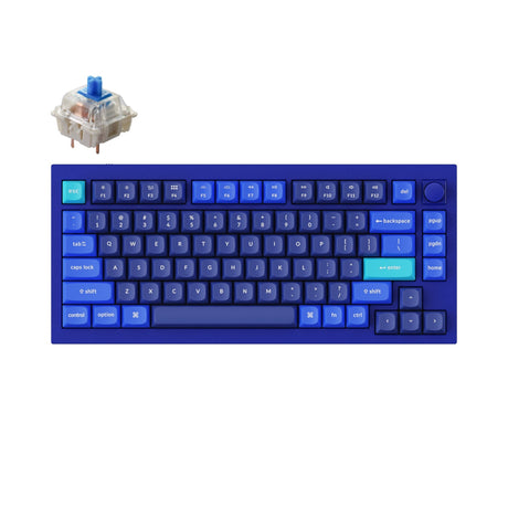 Keychron Q1 Custom Mechanical Keyboard QMK OSA PBT Keycap Knob Blue Gateron G Pro Blue Version B