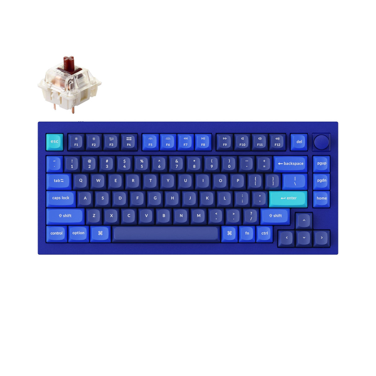 Keychron Q1 Custom Mechanical Keyboard QMK OSA PBT Keycap Knob Blue Gateron G Pro Brown Version B