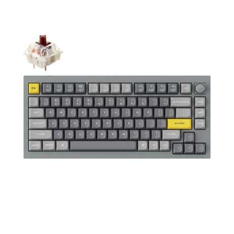 Keychron Q1 Custom Mechanical Keyboard QMK OSA PBT Keycap Knob Silver Gateron G Pro Brown Version B