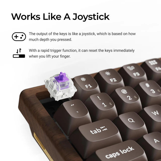 Keychron K2 HE 無線磁気スイッチカスタムキーボード  ールウッド スペシャルエディション 日本語配列