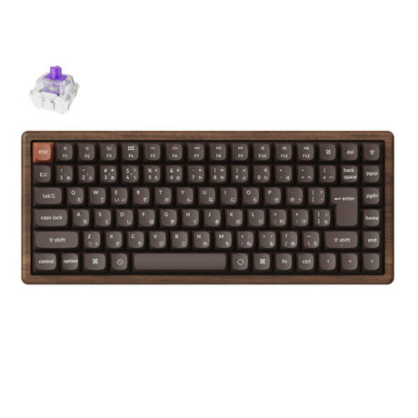 Keychron K2 HE 無線磁気スイッチカスタムキーボード  ールウッド スペシャルエディション 日本語配列