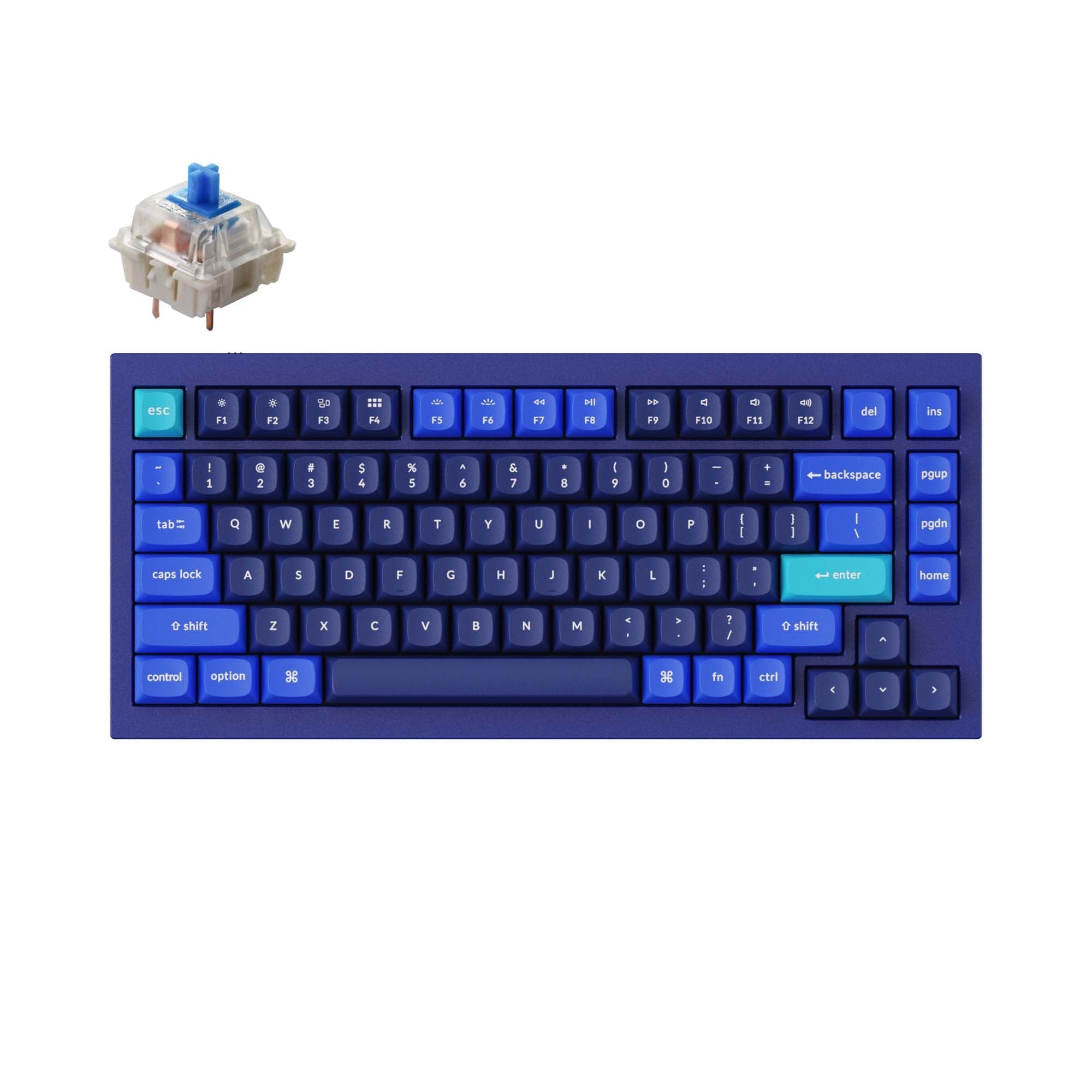 Keychron-Q1-75-percent-QMK-Custom-Mechanical-Keyboard-version-2-blue-gateron-g-pro-blue