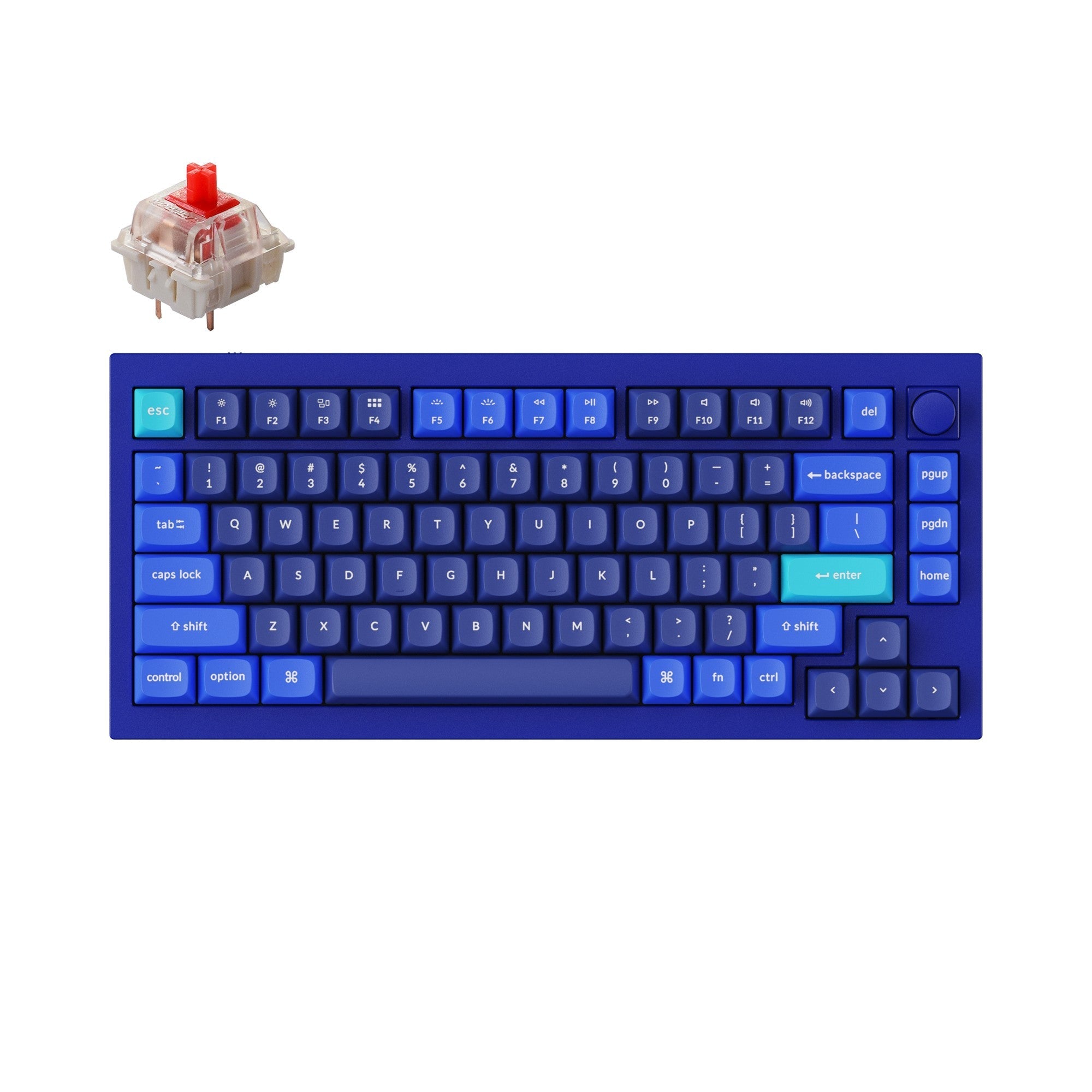 Keychron Q1 Custom Mechanical Keyboard QMK OSA PBT Keycap Knob Blue Gateron G Pro Red Version B