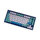 OEM 昇華型染色 PBT キーキャップセット - アイス